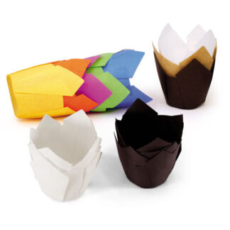 CAPSULA TULIPA COLORES